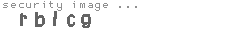 security image