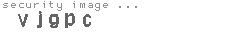 security image