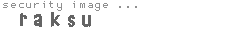 security image