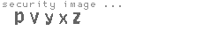 security image
