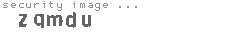 security image