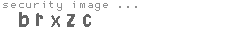 security image