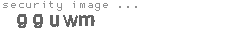 security image