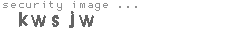 security image