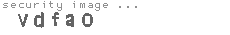 security image
