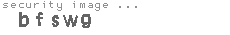 security image
