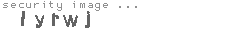 security image