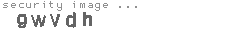 security image