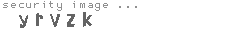 security image