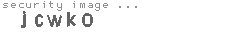 security image