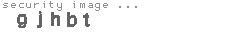 security image