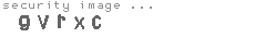security image