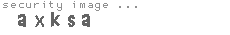 security image
