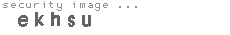 security image