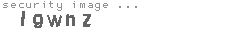 security image