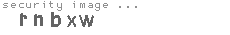 security image