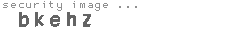 security image