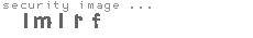 security image