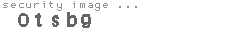 security image