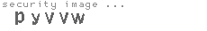 security image