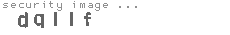 security image