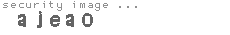 security image