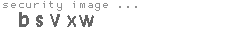 security image