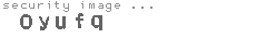security image