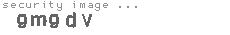 security image