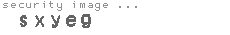 security image