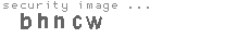 security image