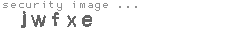 security image