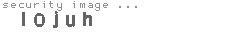 security image