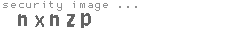 security image
