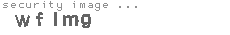 security image