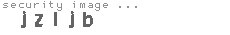 security image
