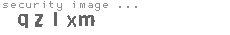security image