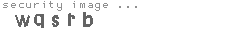 security image