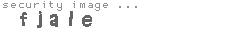security image