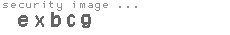 security image