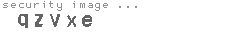 security image