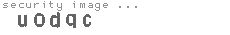 security image