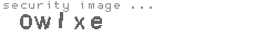 security image