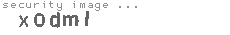 security image