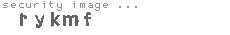 security image