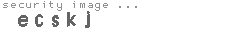 security image