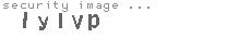 security image