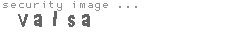 security image