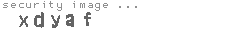 security image