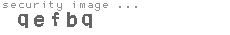 security image